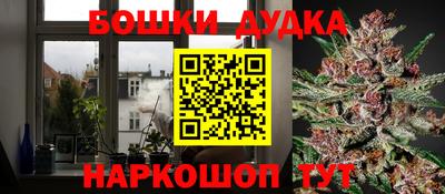 тгк Обь