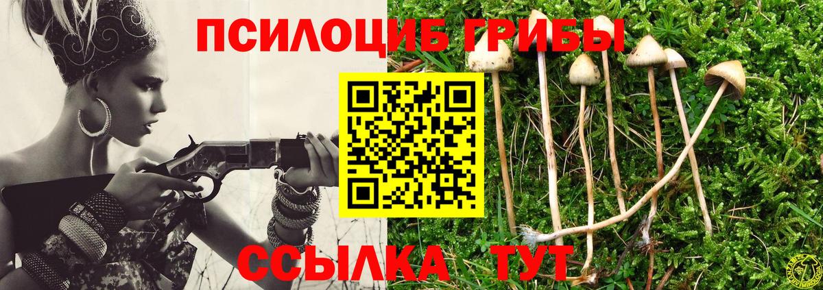 Галлюциногенные грибы Cubensis  Вход с VPN  Реж 